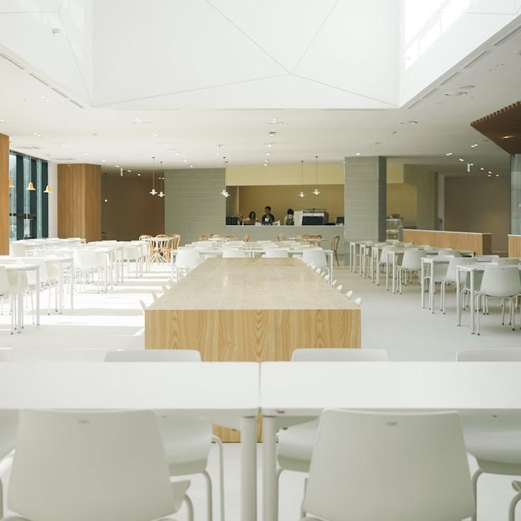 Parks and entertainment for families in New York, United States