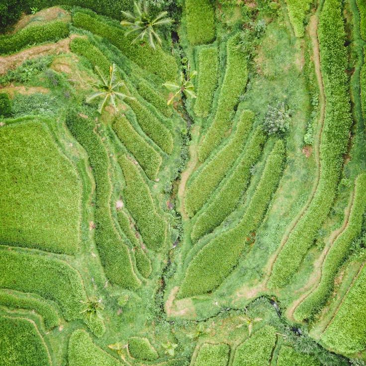 Family terraces and cafés for calm evenings in New York